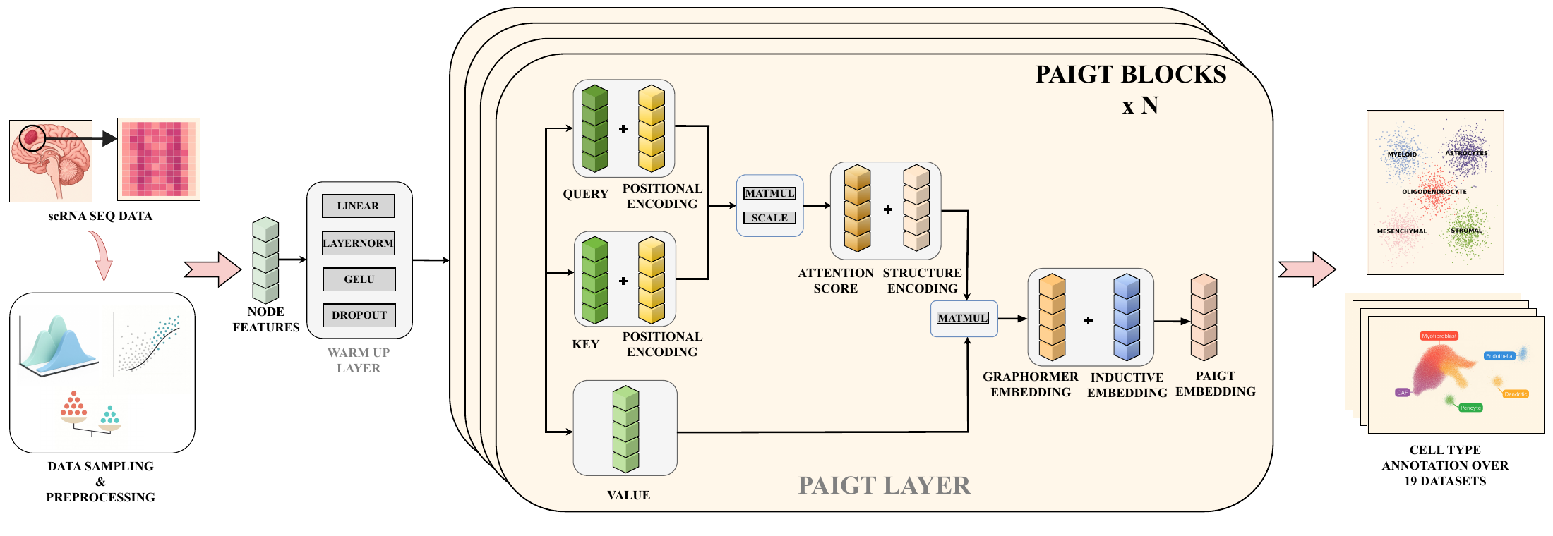 PAIGT architecture: positional-aware inductive graph-transformer blocks for single-cell RNA analysis